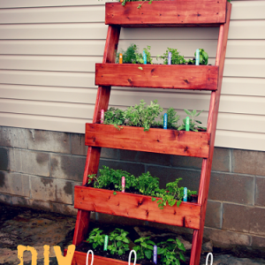 DIY herb garden with The Home Depot_thumb