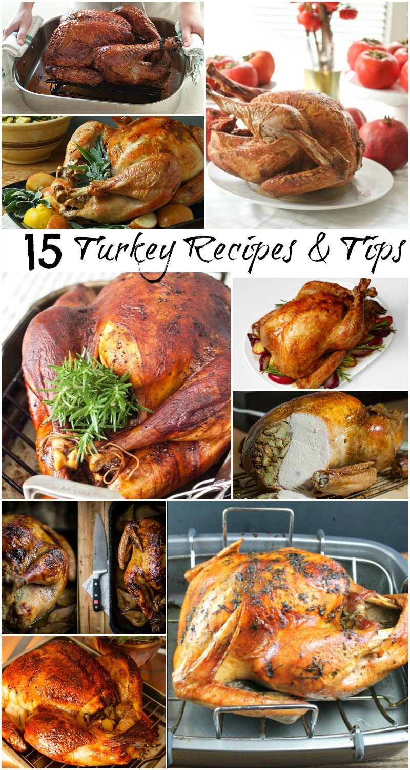 Gobble Gobble, Collection of Turkey Recipes - Will Cook For Smiles