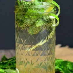 Mason jar filled with Lemon Lime Mojito with mint and lime skin garnish