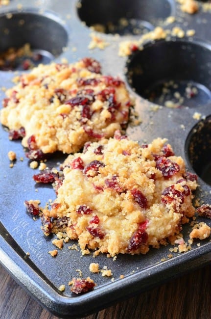 Cranberry White Chocolate Chip Streusel Muffins - Will Cook For Smiles