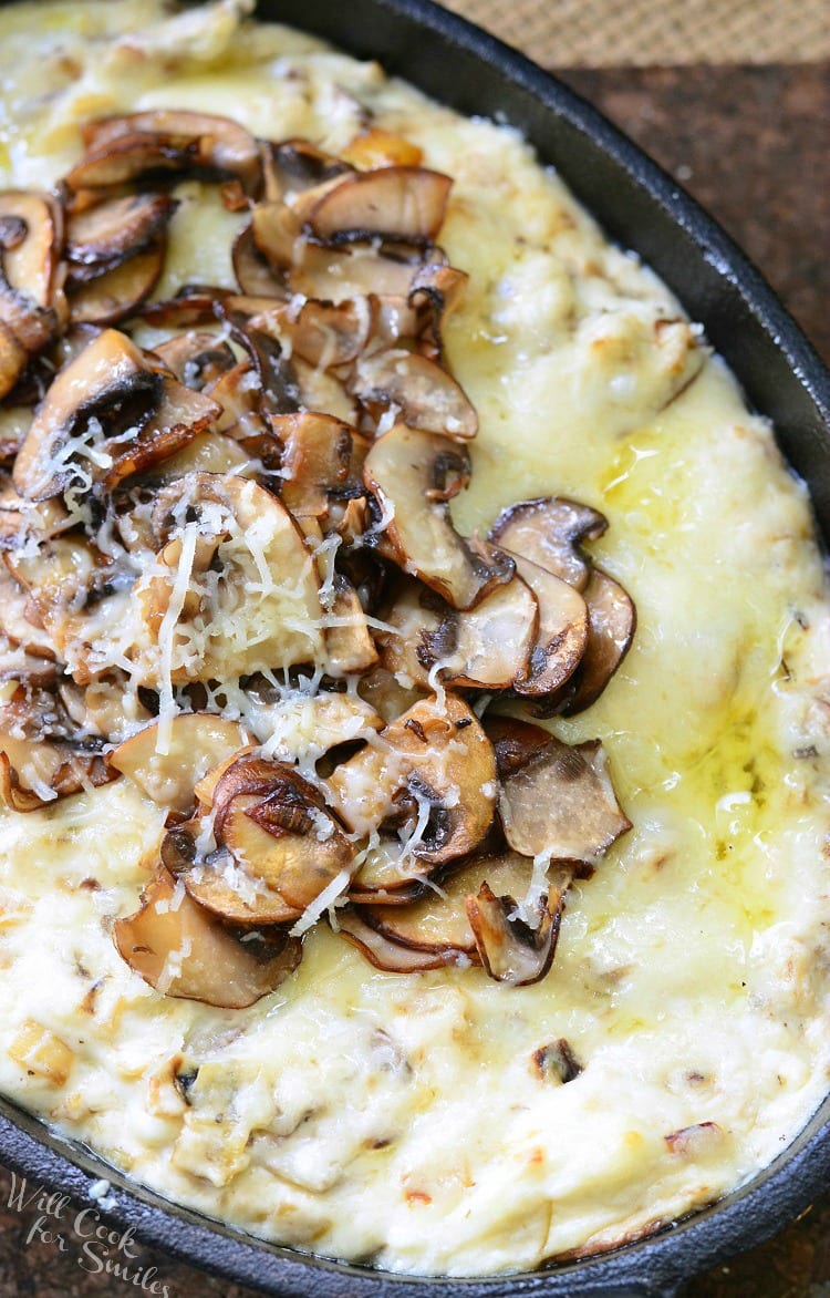 Mushroom Leek and Gruyere Cheese Dip