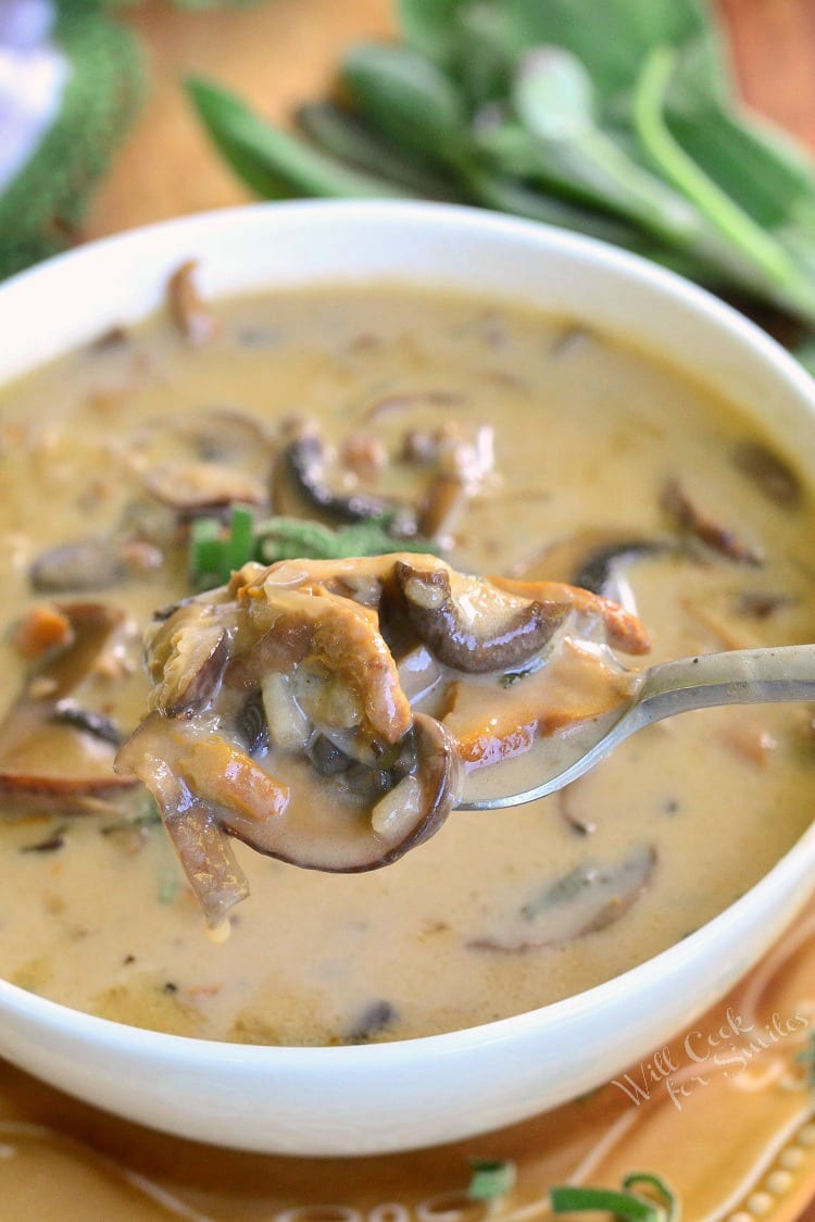 easy oyster mushroom soup recipe