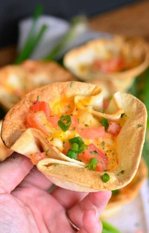 Creamy Chicken Enchilada Tortilla Cups - Will Cook For Smiles