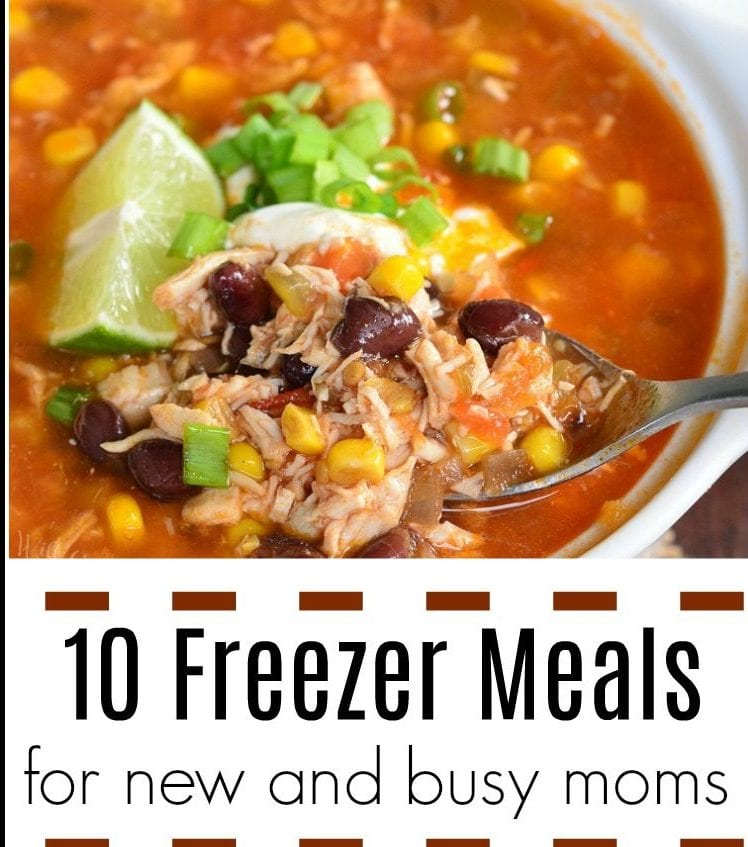 Freezer Meals for New Moms and Tips