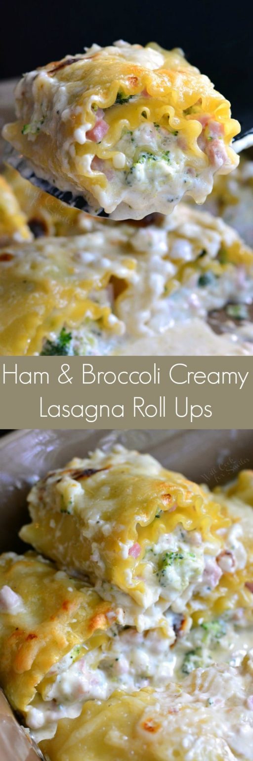 Ham And Broccoli Creamy Lasagna Roll Ups Will Cook For Smiles