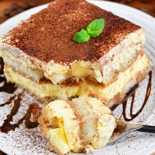 https://www.willcookforsmiles.com/wp-content/uploads/2019/04/Tiramisu-piece-scooped-crop-500x500.jpg