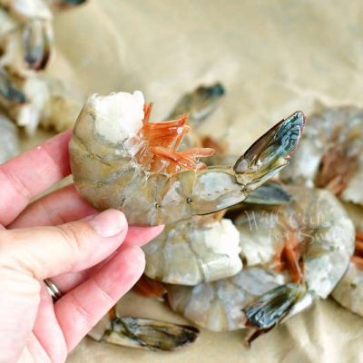 holding a shrimp still in a shell