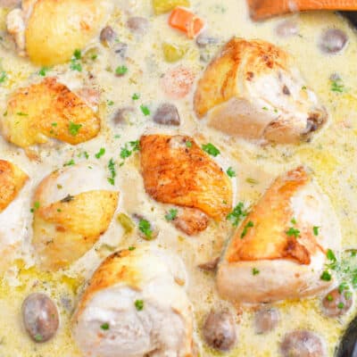 overhead photo: chicken fricassee, ready for serving