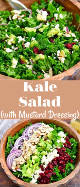 Kale Salad with Delicious Mustard Dressing with Creamy Mustard Dressing ...