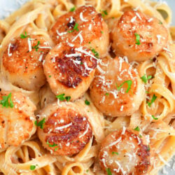 overhead: fettucine and scallops with cream sauce