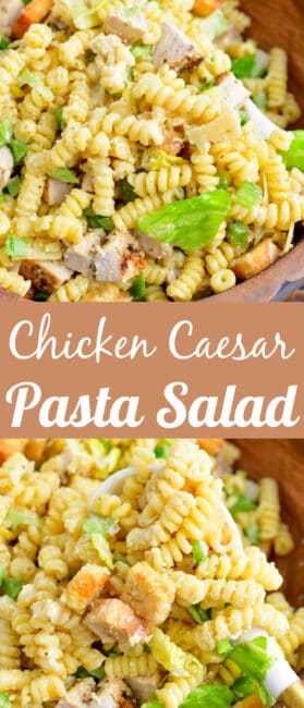 Chicken Caesar Pasta Salad - Perfect Combination of Pasta and Caesar Salad