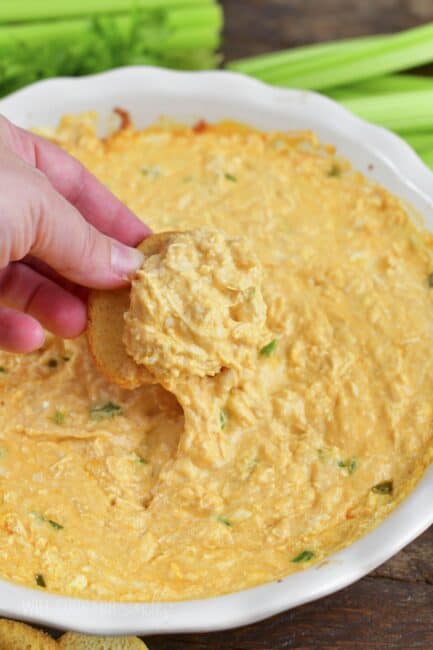 Buffalo Chicken Dip - Will Cook For Smiles