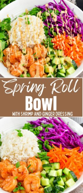 Spring Roll Rice Bowl - Will Cook For Smiles