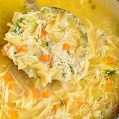 Chicken noodle soup in a stock pot with a ladle scooping some out,