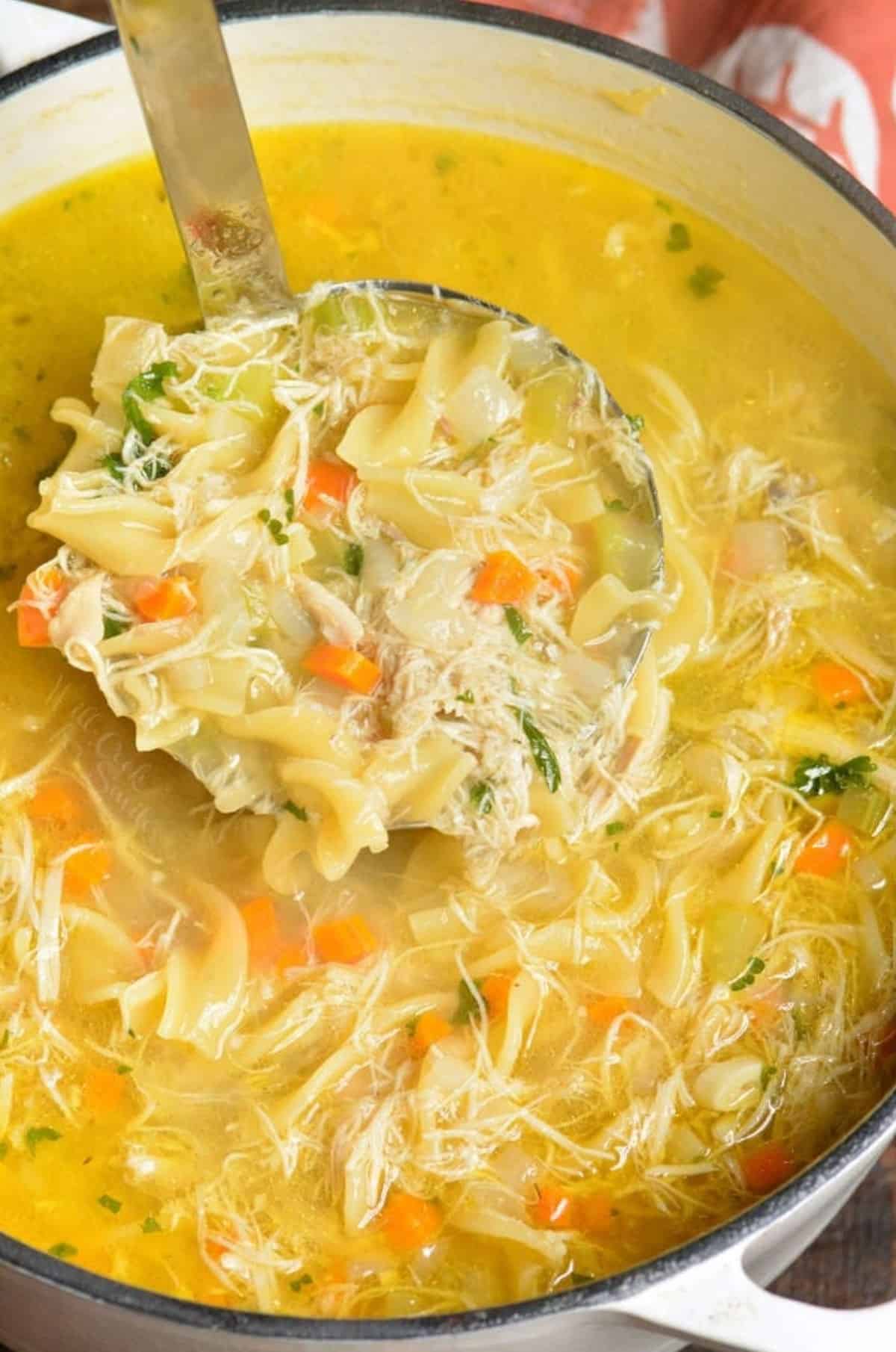https://www.willcookforsmiles.com/wp-content/uploads/2023/09/Chicken-noodle-soup-in-a-pot-with-ladle.jpg