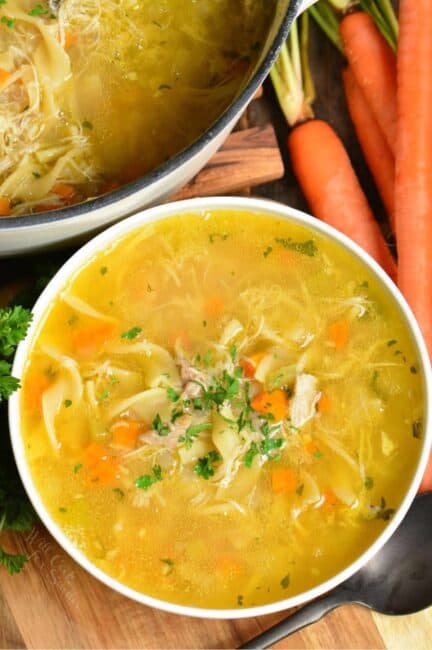 Homemade Chicken Noodle Soup - Will Cook For Smiles