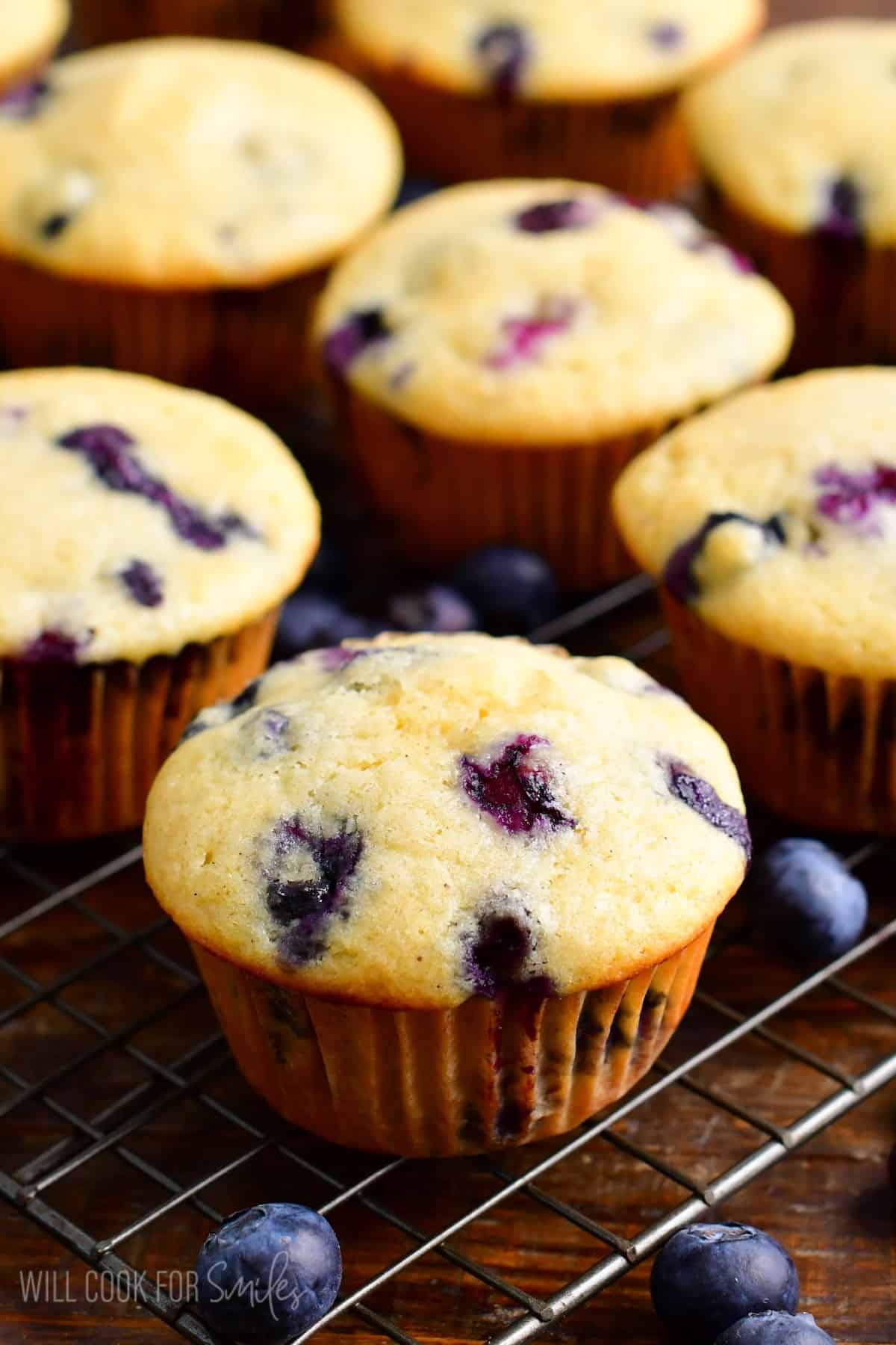 Blueberry muffins on a wire wrack with fresh blueberries around it.