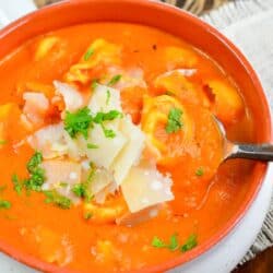 scooping out some red pepper soup and tortellini from a bowl.