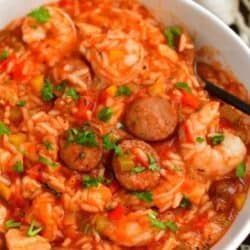 jambalaya in a bowl sprinkled with a little parsley a spoon in the bowl.